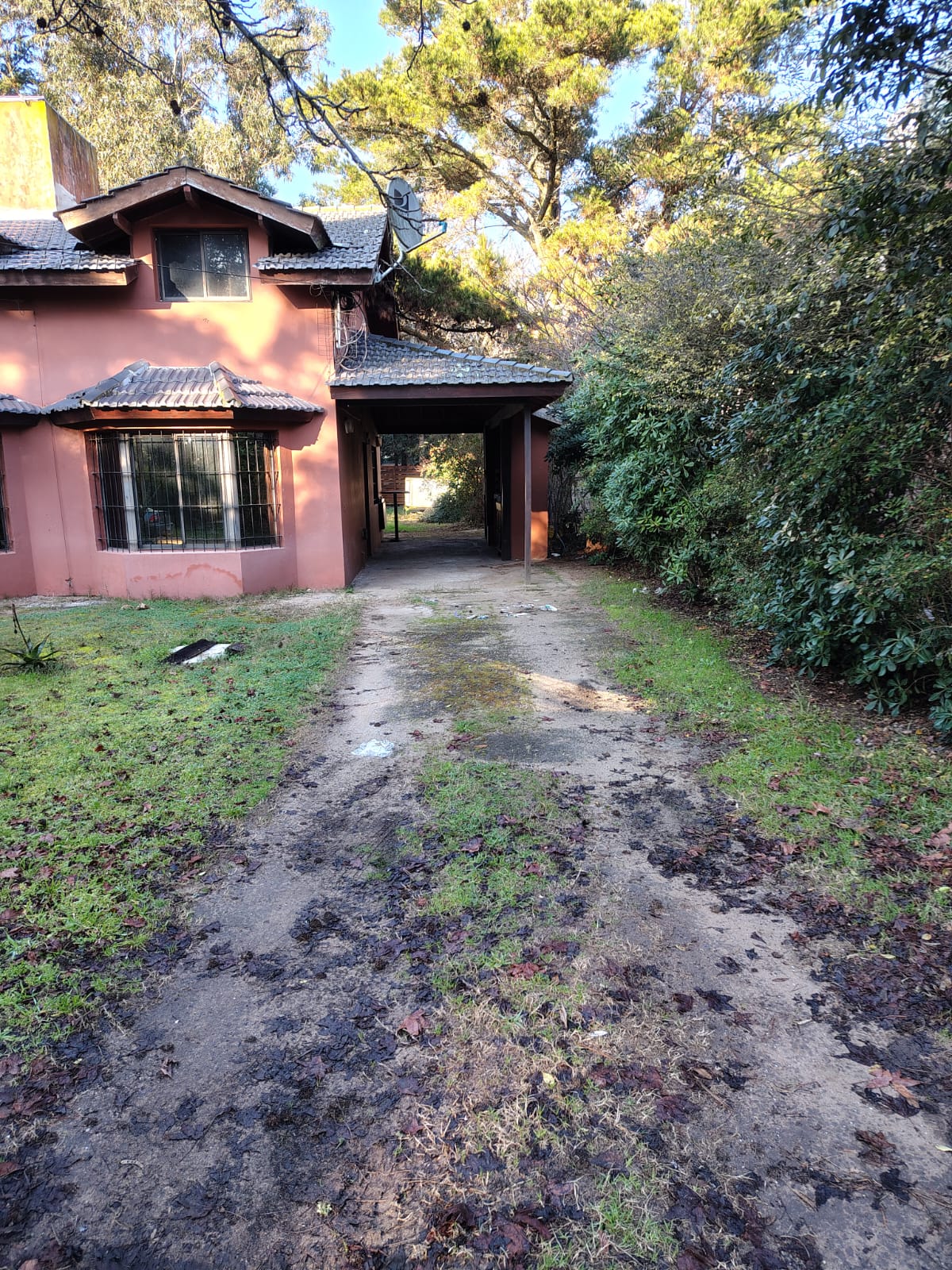 WhatsApp Image 2025-07-19 at 10.38.51.jpeg